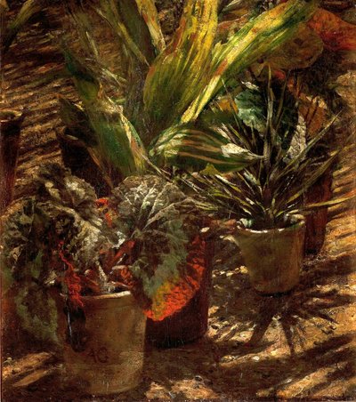 Begonia da Aleksander Gierymski